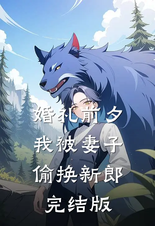 婚礼前夕，我被妻子偷换新郎完结版