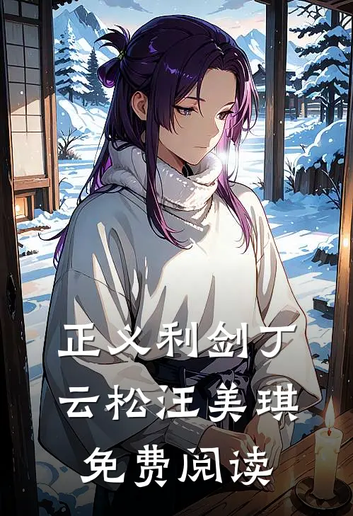 正义利剑丁云松汪美琪免费阅读