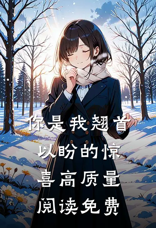 你是我翘首以盼的惊喜高质量阅读免费