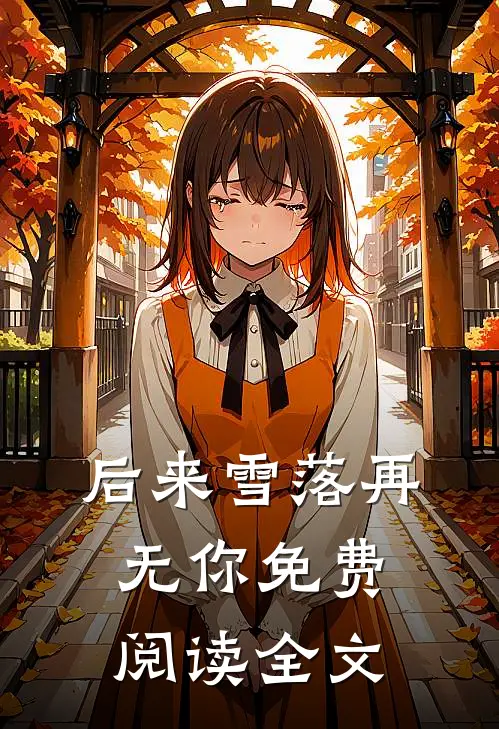 后来雪落再无你免费阅读全文