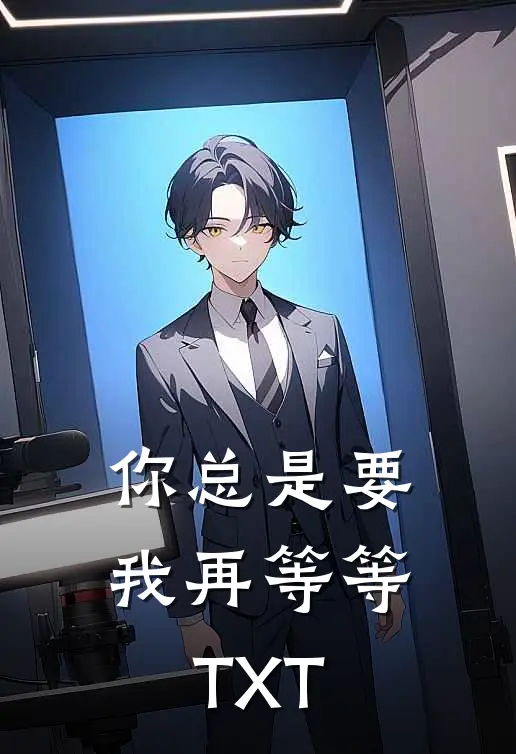 你总是要我再等等TXT