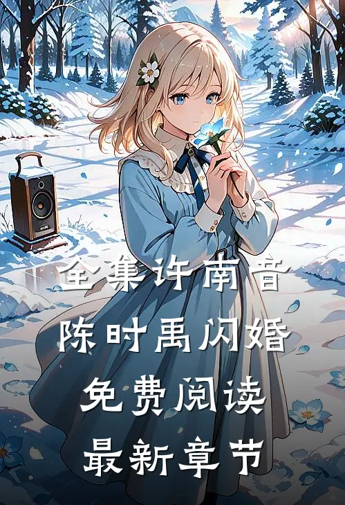 全集许南音陈时禹闪婚免费阅读最新章节