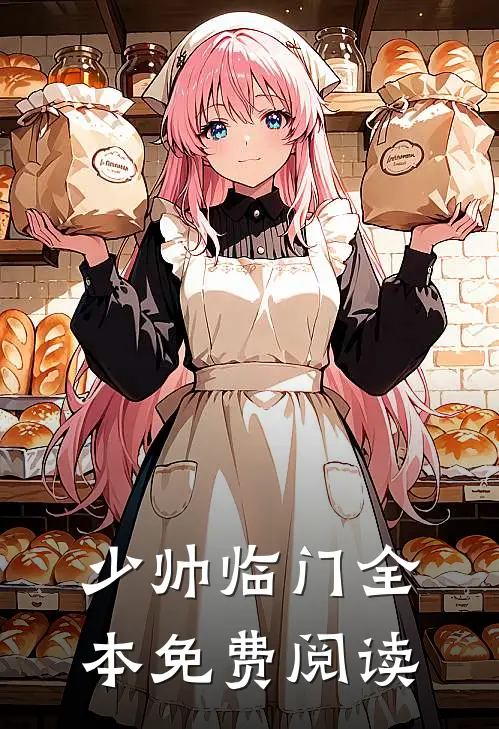 少帅临门全本免费阅读