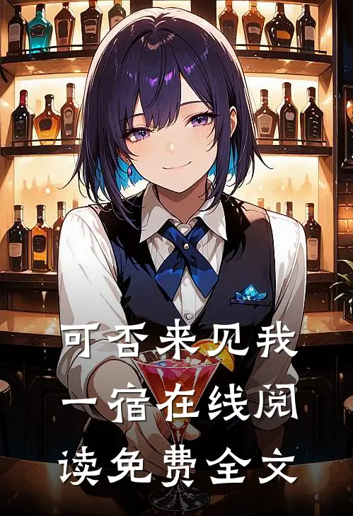 可否来见我一宿在线阅读免费全文