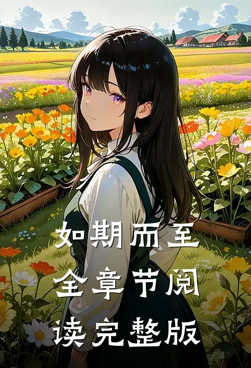 如期而至全章节阅读完整版