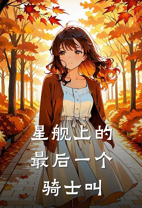 星舰上的最后一个骑士叫