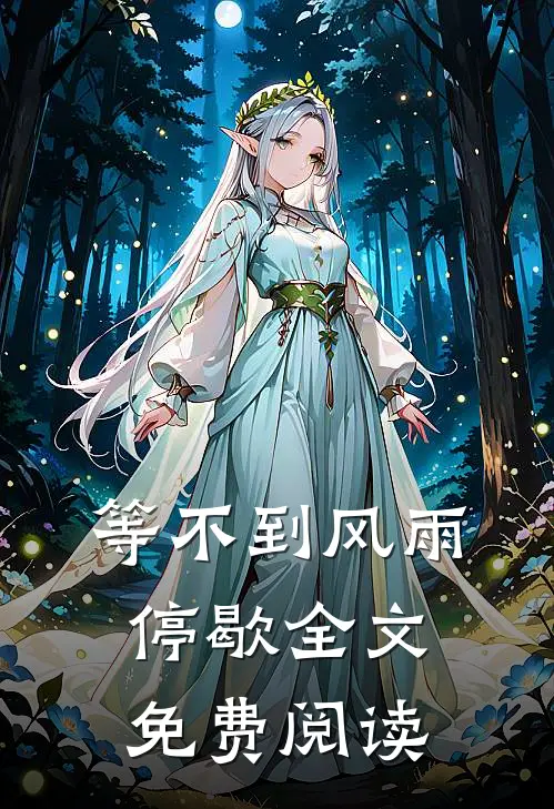 等不到风雨停歇全文免费阅读
