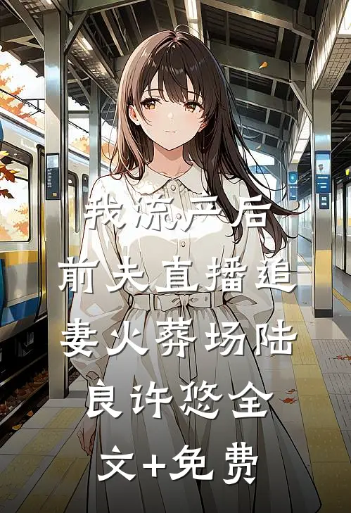 我流产后，前夫直播追妻火葬场陆良许悠全文+免费