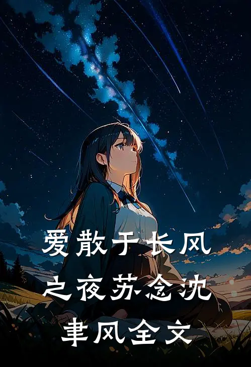 爱散于长风之夜苏念沈聿风全文