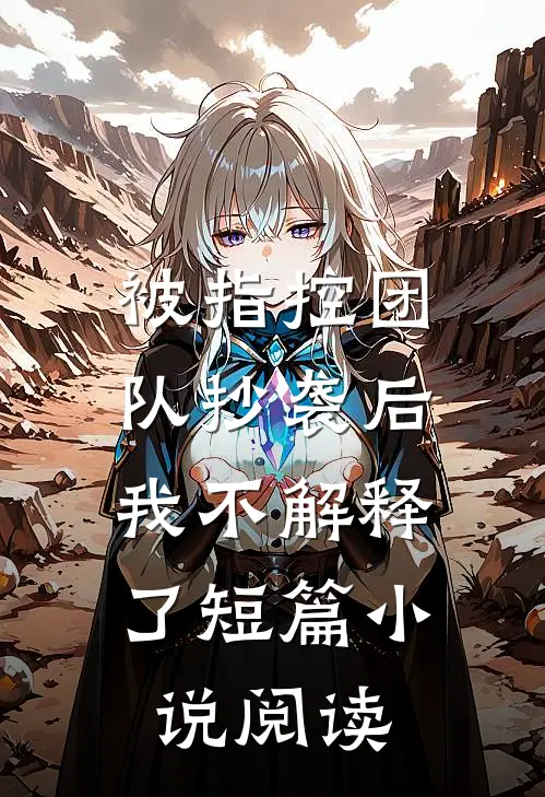 被指控团队抄袭后，我不解释了短篇小说阅读