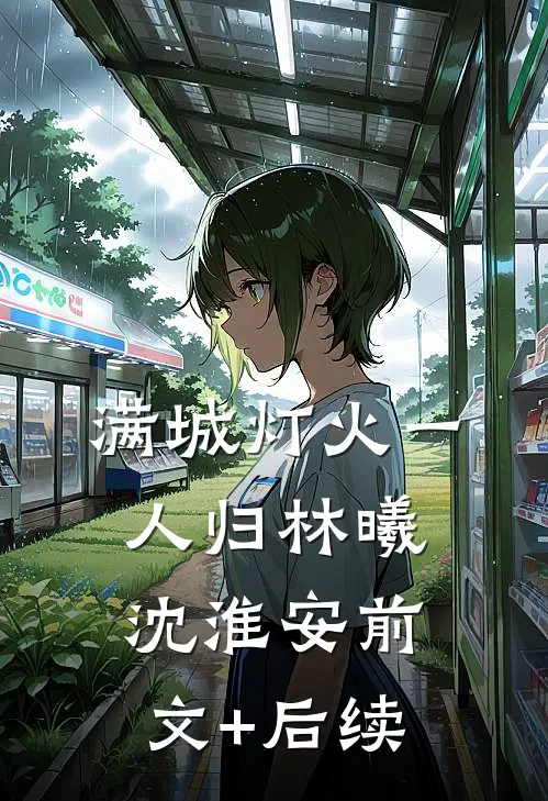 满城灯火一人归林曦沈淮安前文+后续