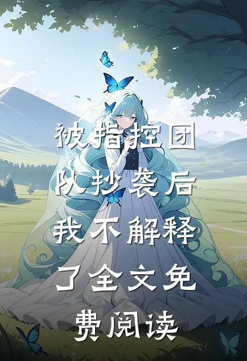 被指控团队抄袭后，我不解释了全文免费阅读