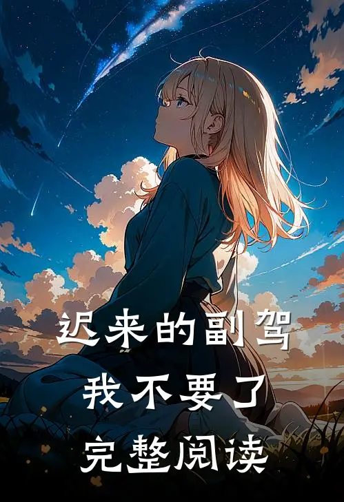 迟来的副驾，我不要了完整阅读