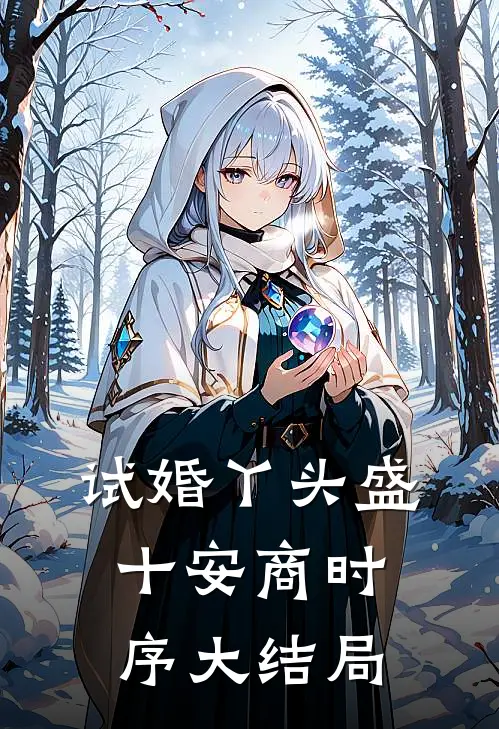 试婚丫头盛十安商时序大结局