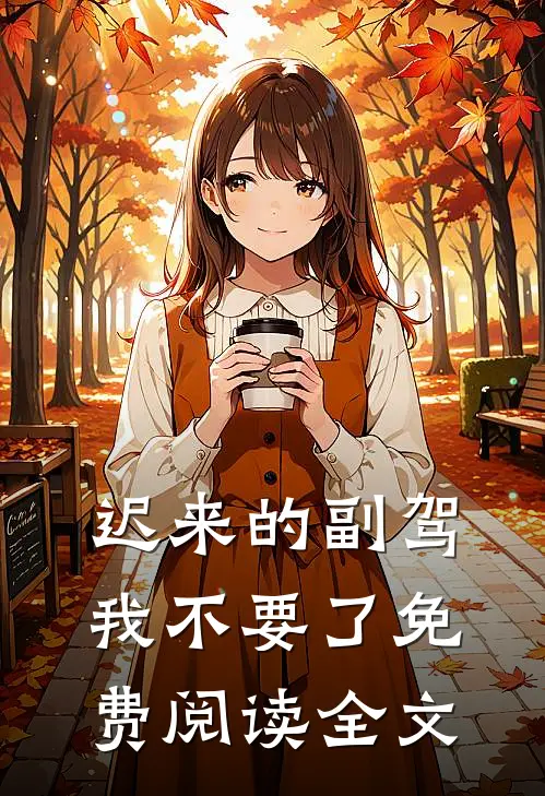 迟来的副驾，我不要了免费阅读全文
