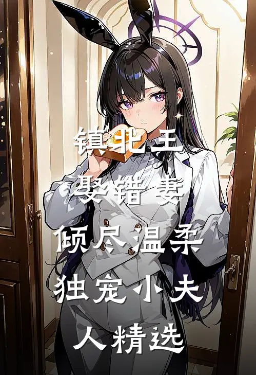镇北王娶错妻，倾尽温柔独宠小夫人精选