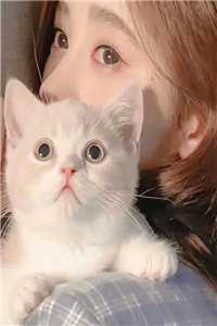 每日盲盒到账，我在年代爆肝宠妻陆一舟沈幼楚全局