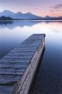 清明节给婆婆上坟后，老公死了小说免费阅读全文