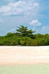 撞车重生后，陆总跪求我复婚十年完整版