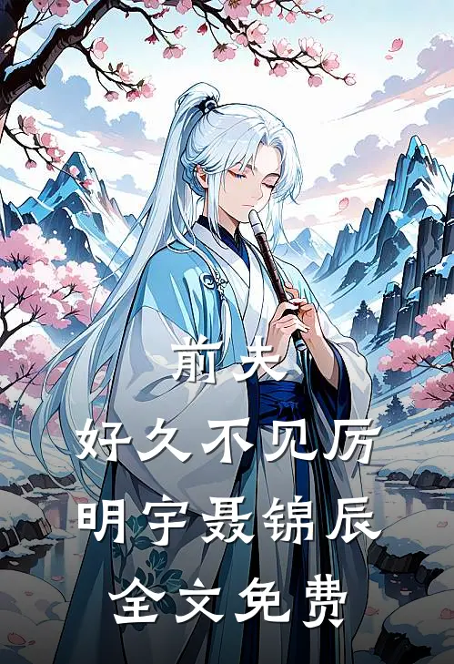前夫,好久不见厉明宇聂锦辰全文免费阅读
