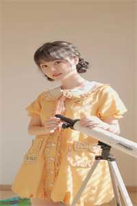 心沉秋水，晚风知意夏婉陆峥年小说