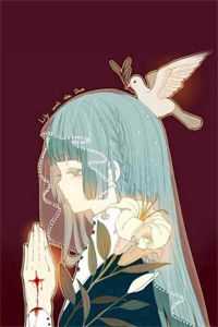 枯萎逢春行爆款宝藏