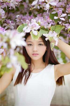 合欢宗：师尊想要放产假全本小说推荐