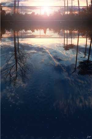 被兄长扔进乞丐窝后，我把自己献祭鬼神苏云裳云儿前文+后续