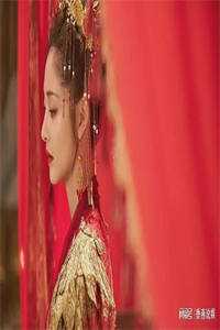 探花小公子，小娘子她千里寻夫了精品推荐