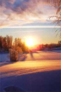 看病的帅医生，咋成我的空降BOSS了全章节阅读