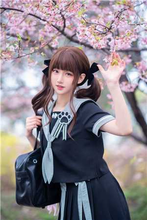 风起时不问归期免费