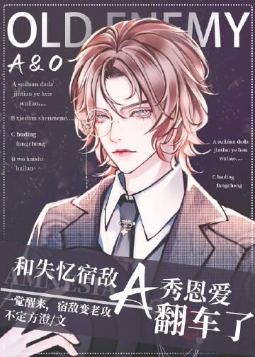 老公去世后我打翻了他的日记许安安陈彦无删减全文