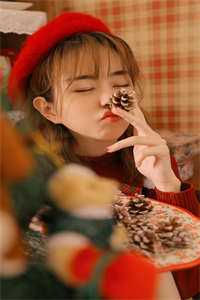 栀子盛开又凋落周嘉安林栀前文+后续