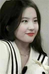 落雪梧桐夜夜歌by