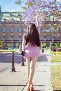 北城旧梦扰清风温斯璟向晚茵后续+全文