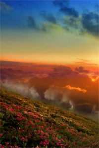 八零春，若梦回完整阅读