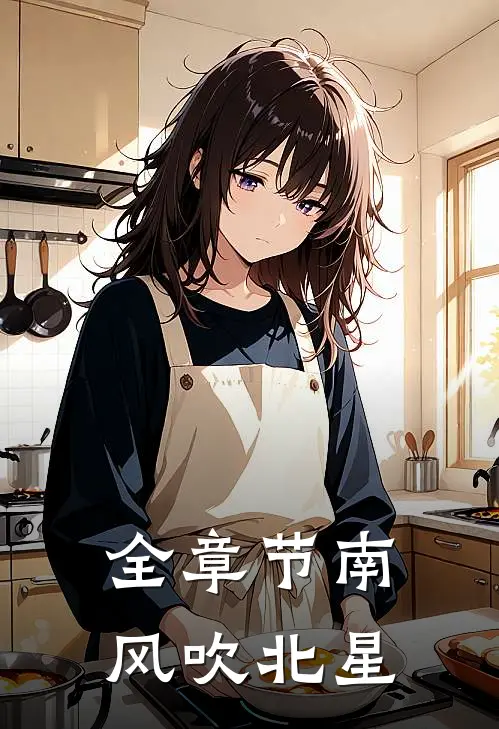 全章节南风吹北星免费阅读