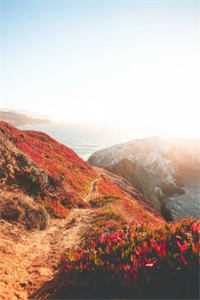 黄粱一梦皆成灰广告+结局