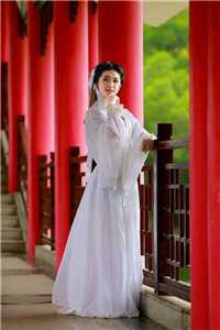 我只是想给他留个后，有错吗全本小说推荐