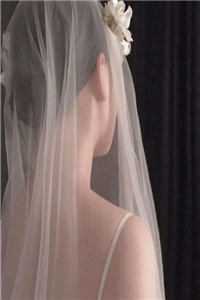 雪落无声覆白头在线