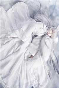 小姑子怀了个超雄儿的小说