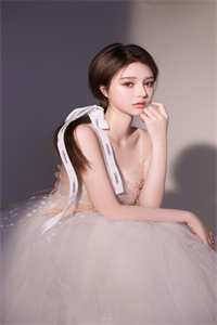 弃你如昨夜的月免费阅读