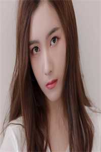 倦鸟不归栖免费阅读