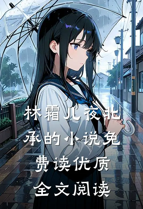林霜儿夜北承的小说免费读优质全文阅读