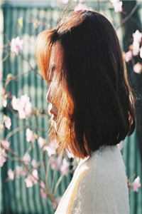 月落辞归衍热门小说