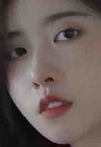 十年星光免费阅读