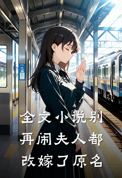 全文别再闹夫人都改嫁了原名叫啥