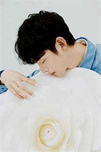 行道迟迟秋已凉铭铭陆云澈后续+全文