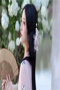 亭亭如盖全文阅读最新