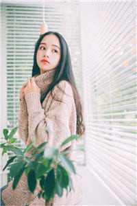 此去经年再无君目录